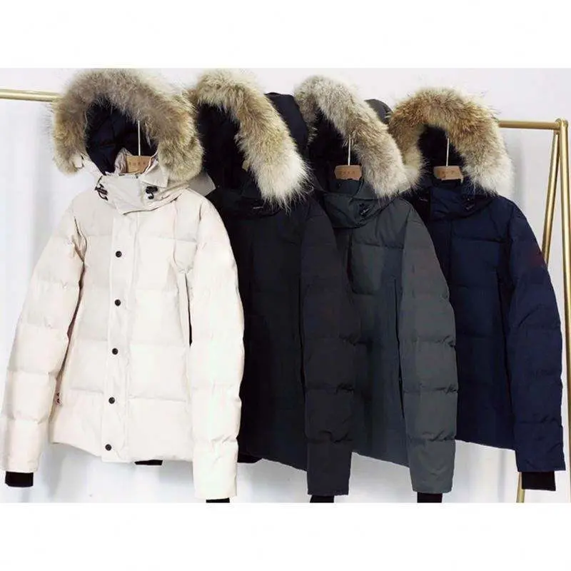 Down alternative jacket for allergies